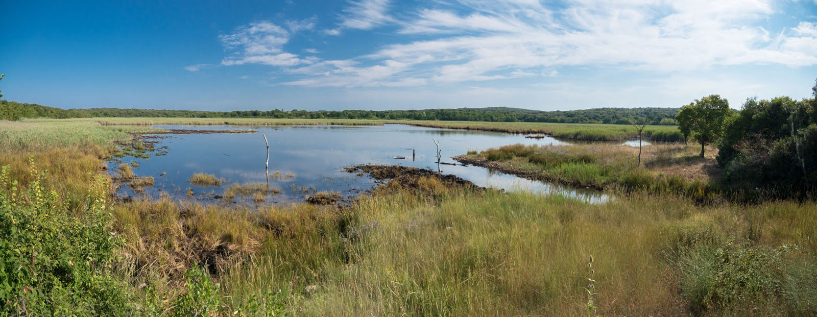 PALUD2 PANORAMA